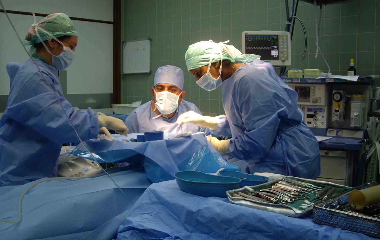 Dentist consulting with parent