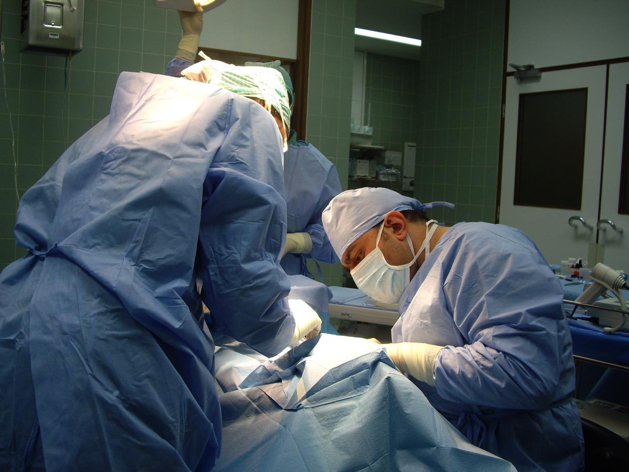 Dentist monitoring patient