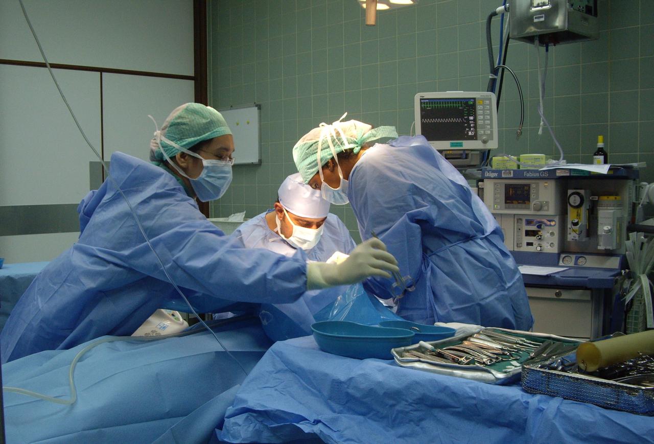 Dentist high-fiving child